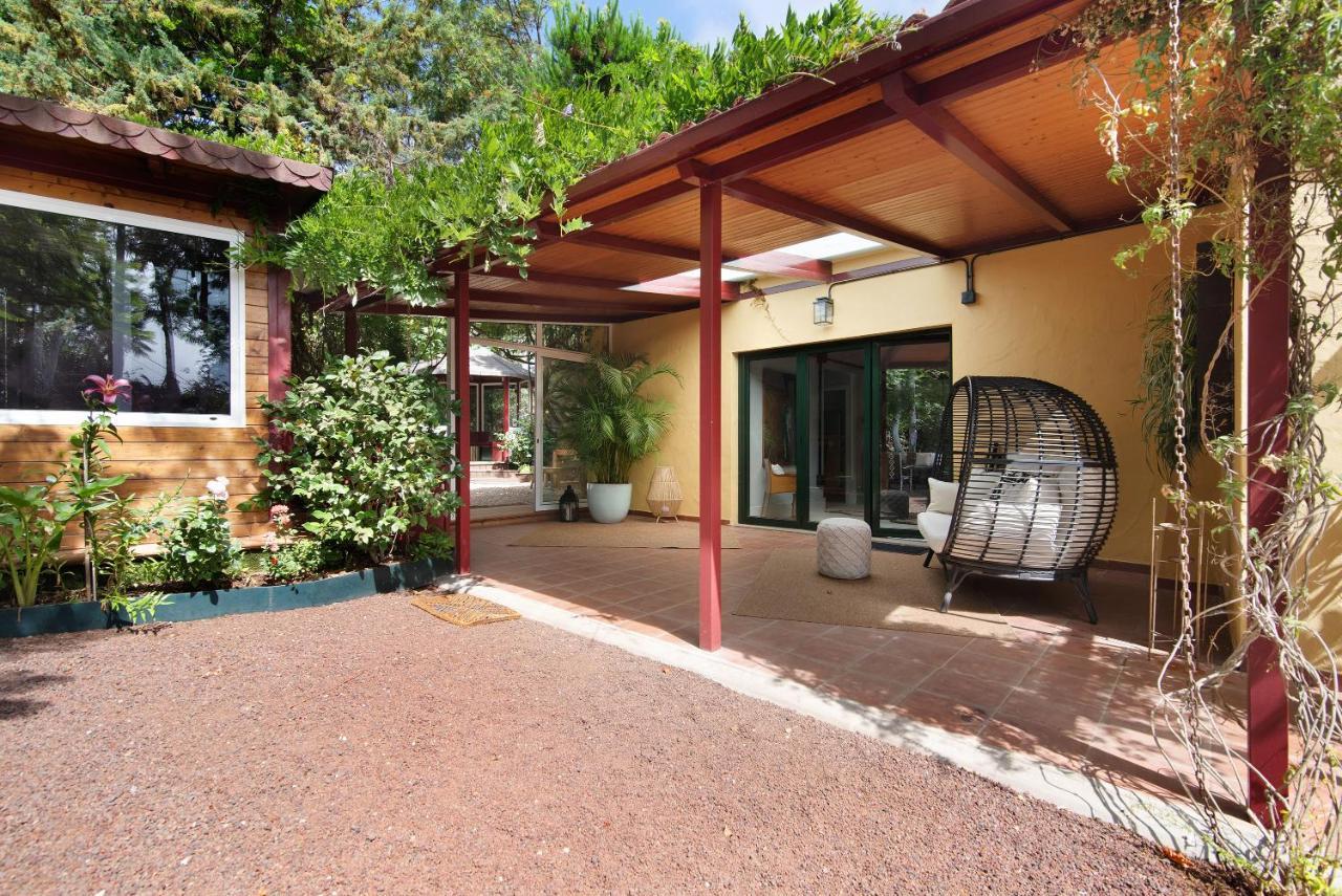 Karibu Lodge Vega de San Mateo Dış mekan fotoğraf
